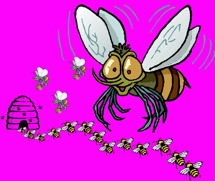ruche et abeilles
